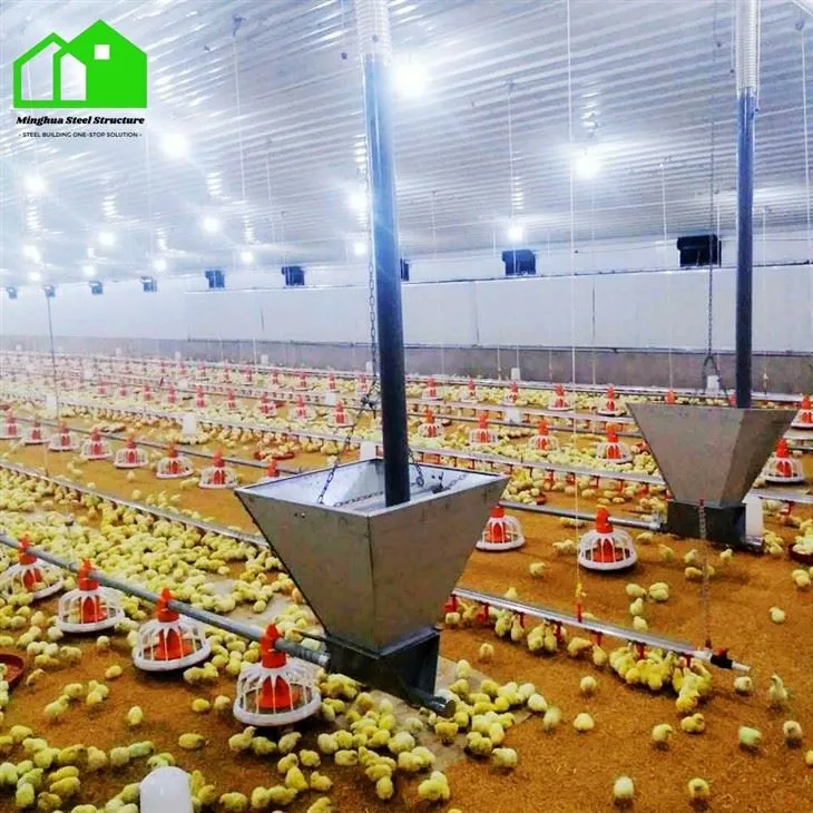 Industrial Chicken House