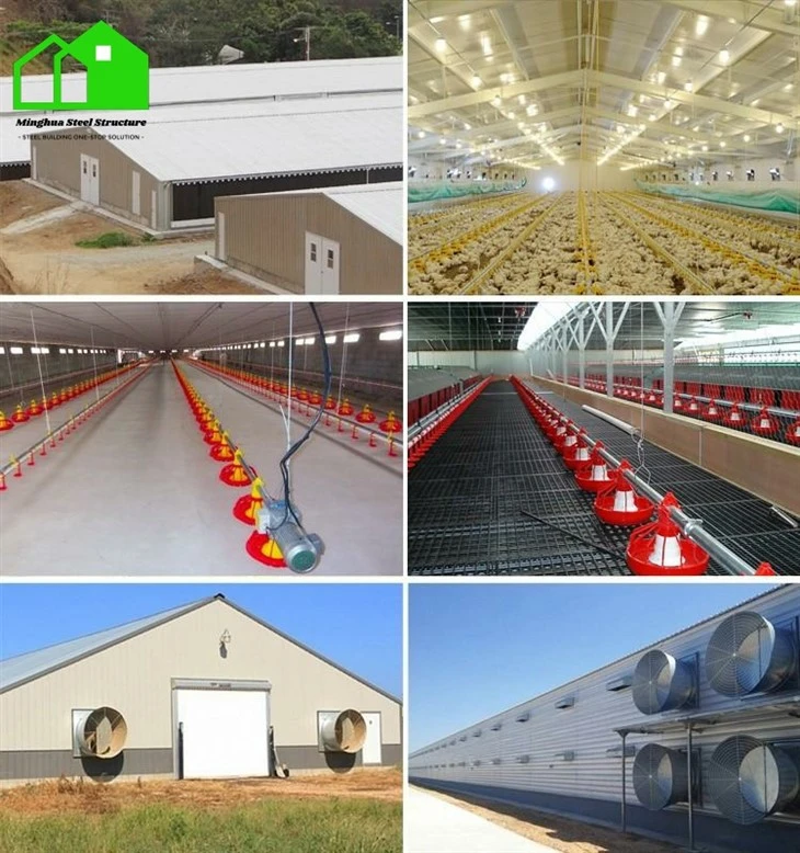 Steel Chicken House factory Steel Chicken House factory