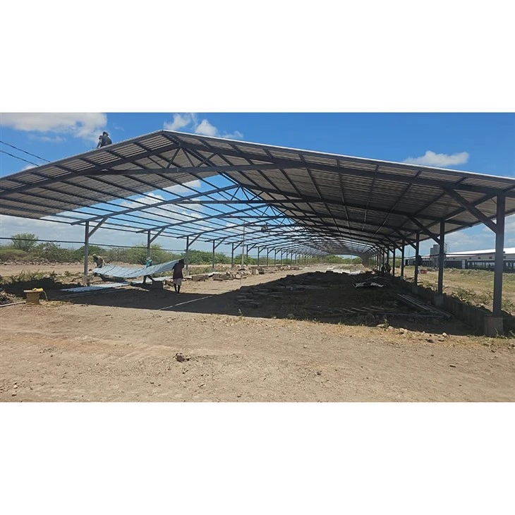 Steel Chicken House high quality Steel Chicken House high quality
