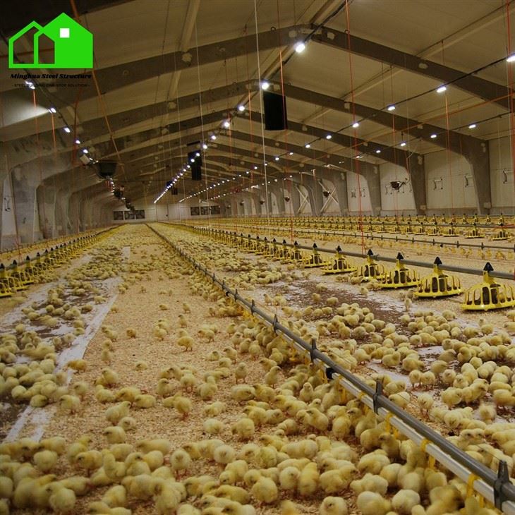 Steel Chicken House suppliers Steel Chicken House suppliers