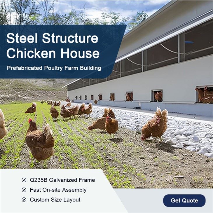 Steel Chicken House