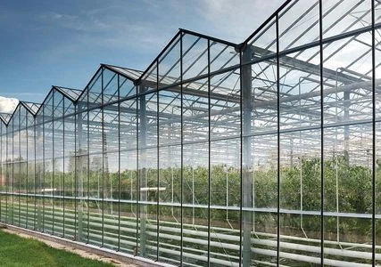steel frame greenhouse steel frame greenhouse