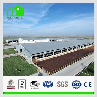 What do I need to know about steel structure dairy farm?