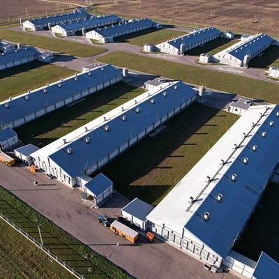 Steel Pig Farm