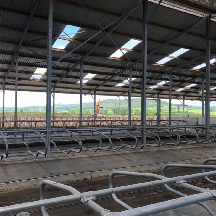 Steel Cattle Barn
